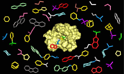 Drug discovery